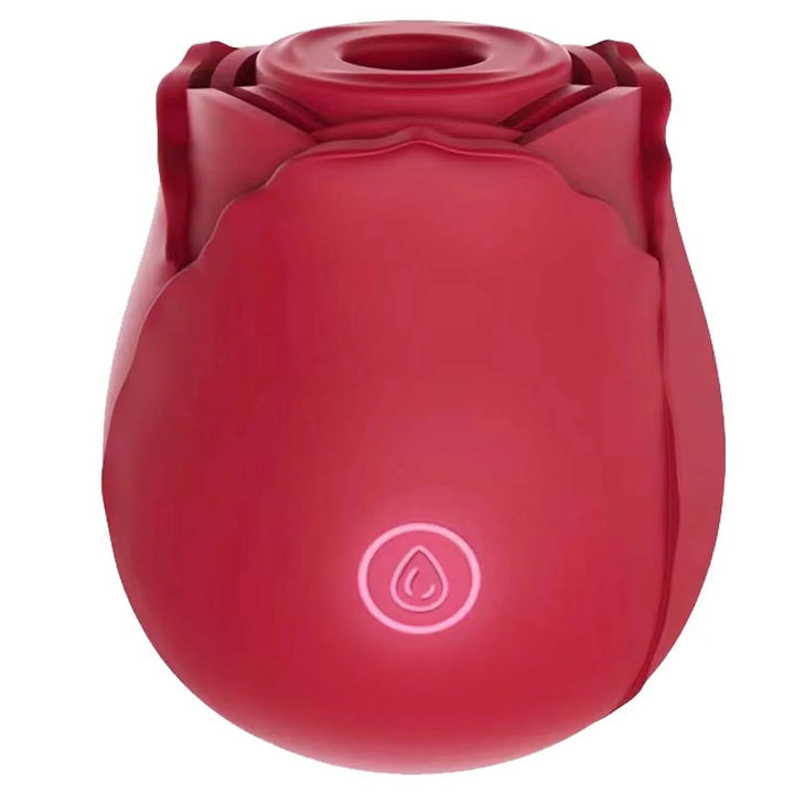 Rose Toys, Rose Sex Toys Vibrators for Women G Spot Vibrator Partner Toys for Adult Pleasure Stimulator