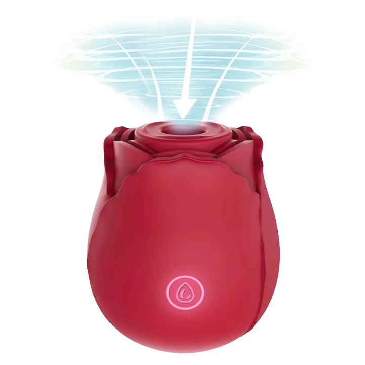 Rose Toys, Rose Sex Toys Vibrators for Women G Spot Vibrator Partner Toys for Adult Pleasure Stimulator